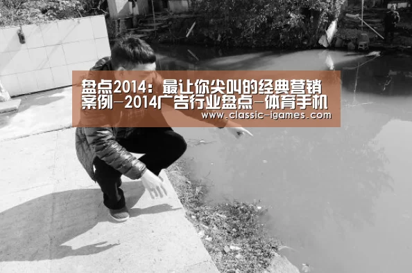 盘点2014：最让你尖叫的经典营销案例-2014广告行业盘点