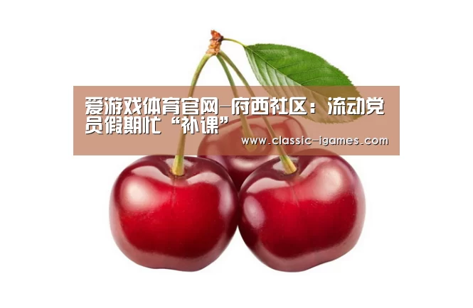 爱游戏体育官网-府西社区：流动党员假期忙“补课”
