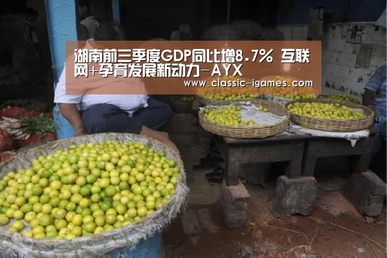 湖南前三季度GDP同比增8.7% 互联网+孕育发展新动力-A