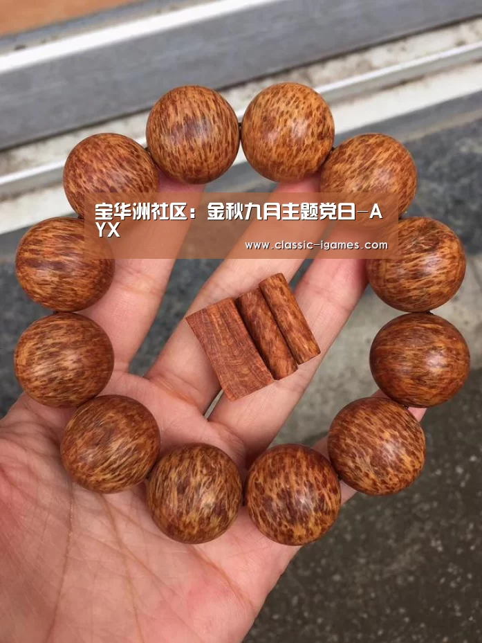 宝华洲社区：金秋九月主题党日-AYX