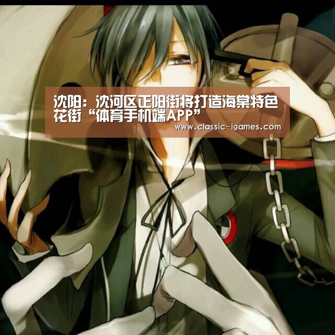 体育手机端APP