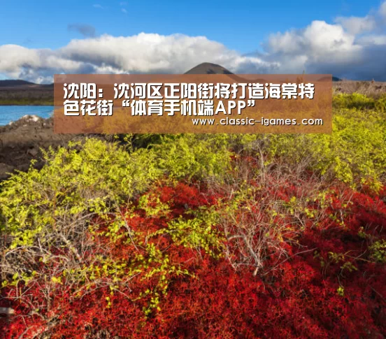 沈阳：沈河区正阳街将打造海棠特色花街“体育手机端APP”
