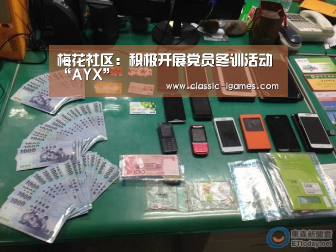 梅花社区：积极开展党员冬训活动“AYX”(图4)