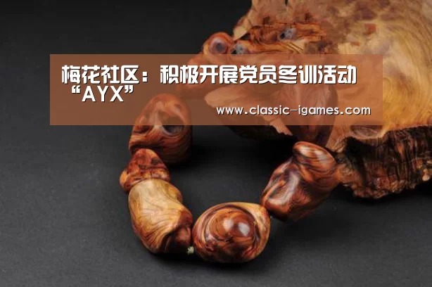 体育手机端APP